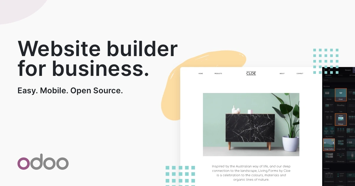 Website & Marketing
